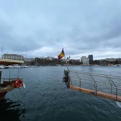 No idea what this pirate thing is about