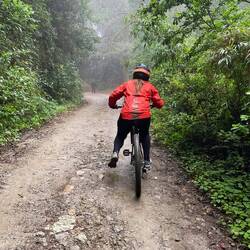 Mit wachsendem Schlammstreifen auf dem Rücken