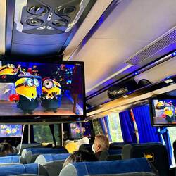 Busfahrt mit Minions