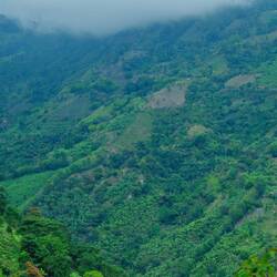 Und wieder mal nur Binder aus dem Bus