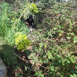 Einmal schön ducken