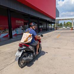 Joschi vollgepackt nach unserem Einkauf