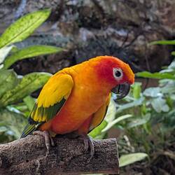 Wunderschöne Geschoepfe