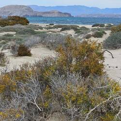 More Dunes on this side