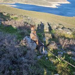 Na was sieht man denn hier?