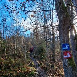 Gemeinsam mit dem Natursteig Sieg geht's direkt ordentlich bergauf!😁