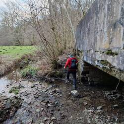 ....nämlich hier, für Louder...