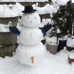 Der Geselle der Frau Nachbarin😁