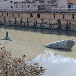 Was das 😳...ne Riesenforelle im Rio Segura