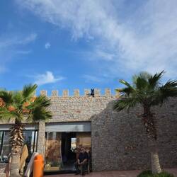 Die Wachhunde gucken von oben herab.