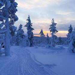 Sonnenaufgang auf dem Kuertunturi