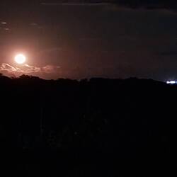 Vollmond und Sternenhimmel