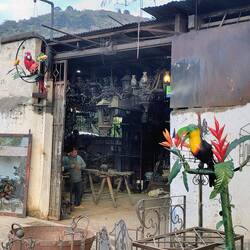 Unser erster Tukan 😉