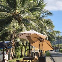 Nach der Tour frisches Kokusnusswasser