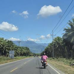 Weiter auf der Küstenstraße durch viele Palmölplantagen