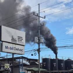 Palmölfabrik (ohne Filter im Kamin)
