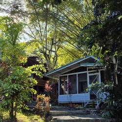 Bamboo River House in Dominical