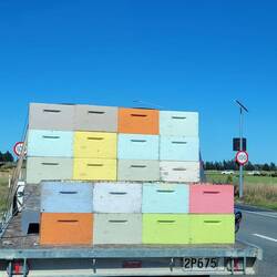 Honig Lebendstransport 😋