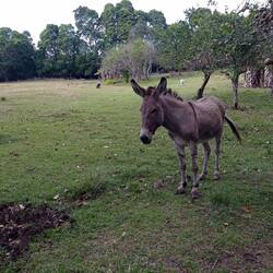 Sur la ferme bio