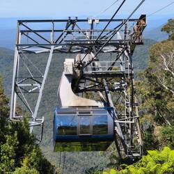Scenic CABLEWAY runter in den Regenwald