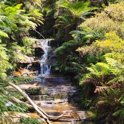 Leura Cascades.....