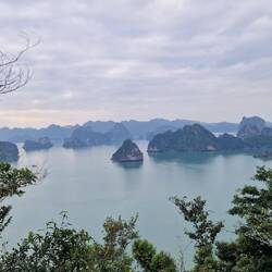 Sieht schon schick aus