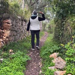 Einer der vielen Wanderwege in die Umgebung