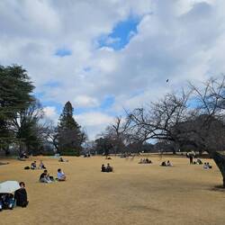 Quand les humains FONT le paysage pour 50%