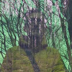 Je me demande si le goût des japonais pour les textures ne viendraient pas de leurs arbres.