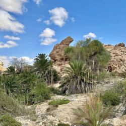 Bunny Rock, Wadi asch-Schuwaimiyya
