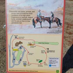 Der kleine Trail am Visitor Center.