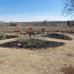 Die verschiedenen Nutzpflanzen.