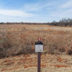 Leider sah es dann so auf dem Battlefield aus, nicht so spannend.