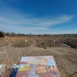 Hier wird die Auswirkung von Feuer beobachtet. Jedes Jahr wird einer der Streifen angezündet.
