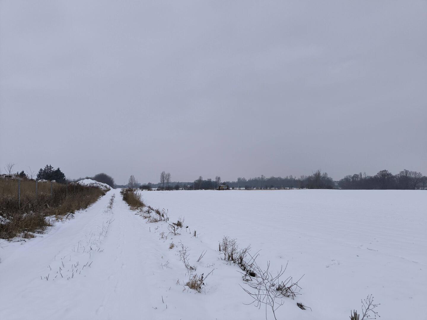 Feldweg nach Friedensdorf
