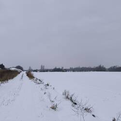 Feldweg nach Friedensdorf