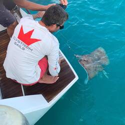 Jan kam uns auch bei unserem Rochenfang zu Hilfe