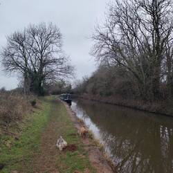 Another muddy mooring spot. Tiger stuck to the concrete lined bank to avoid getting mucky.