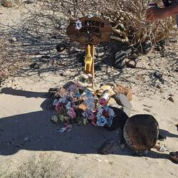 Beautiful place...beautiful man.