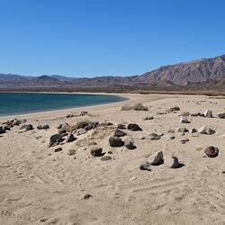 First stop is Fletch's beach. We pay tribute to our friend Suzanne's husband Fletch.
