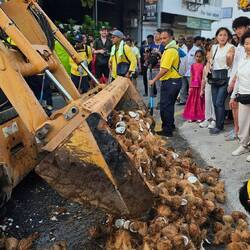 Und dann mit Minibagger wieder entfernt, um Platz für den goldenen Wagen zu machen.
