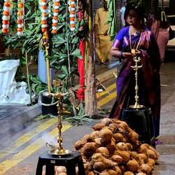 Überall liegen die Kokosnüsse bereit.