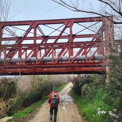 Da fahren wir nachher rüber.
