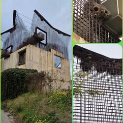 Futuristische Aussichtsplattform beim Ethnografischen Museum. Den Mönchsittichen gefällt es.