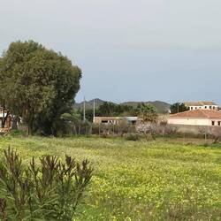 4.2.: unterwegs 🚶‍♂️🐕‍🦺🚶‍♀️vom neuen Stellplatz. Historische Mühlen-Ruine.