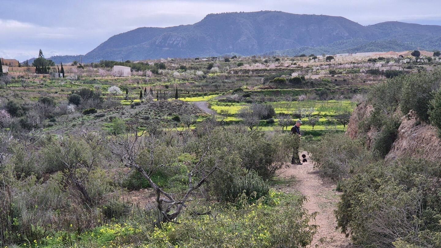 Montag, 2.2.: nochmal im Canyon 🚶‍♂️🐕‍🦺🚶‍♀️, weil es Happy so interessant findet 🐇.