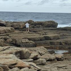 My "Dassie" on the rocks!