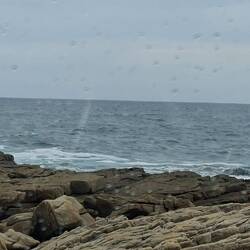 Spray off the rocks