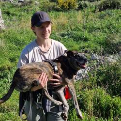 Danke, das ist super so...