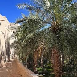 Auf dem Weg zum Adam Fort - ganz schön eng für unseren LandCruiser